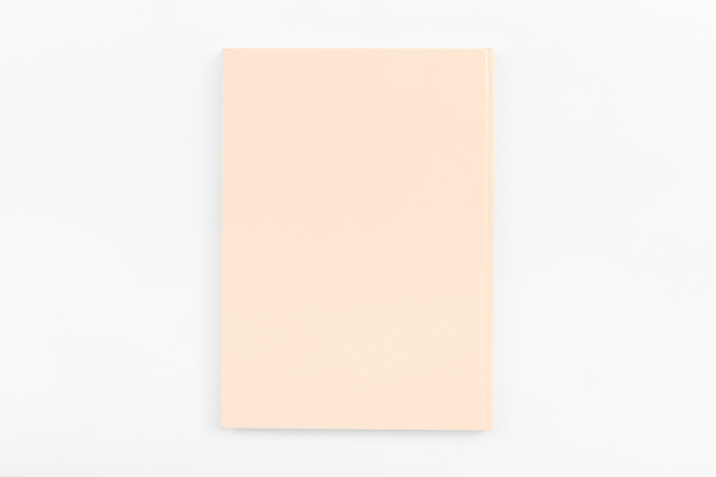 Sarah Lucas SEX LIFE