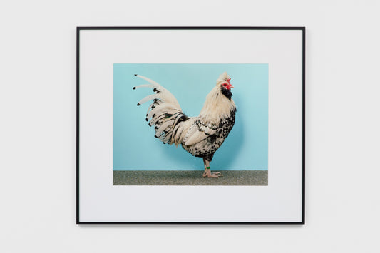 The Financial Times, FT Magazine, 15 November 2025