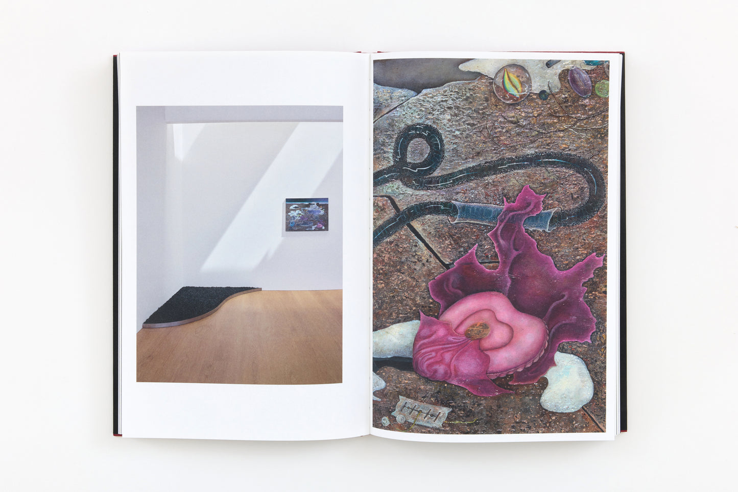 Anj Smith: Where the Mountain Hare has Lain