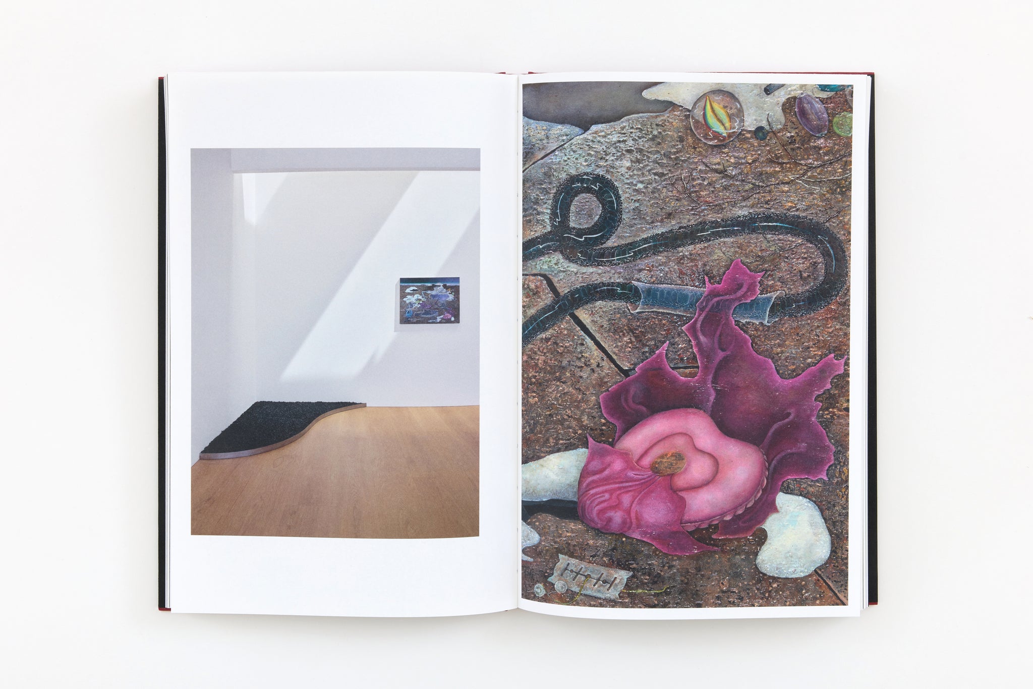 Anj Smith: Where the Mountain Hare has Lain