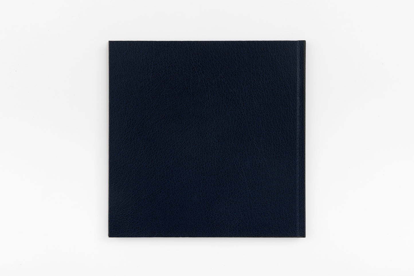 Ron Nagle: Midnight Stroll